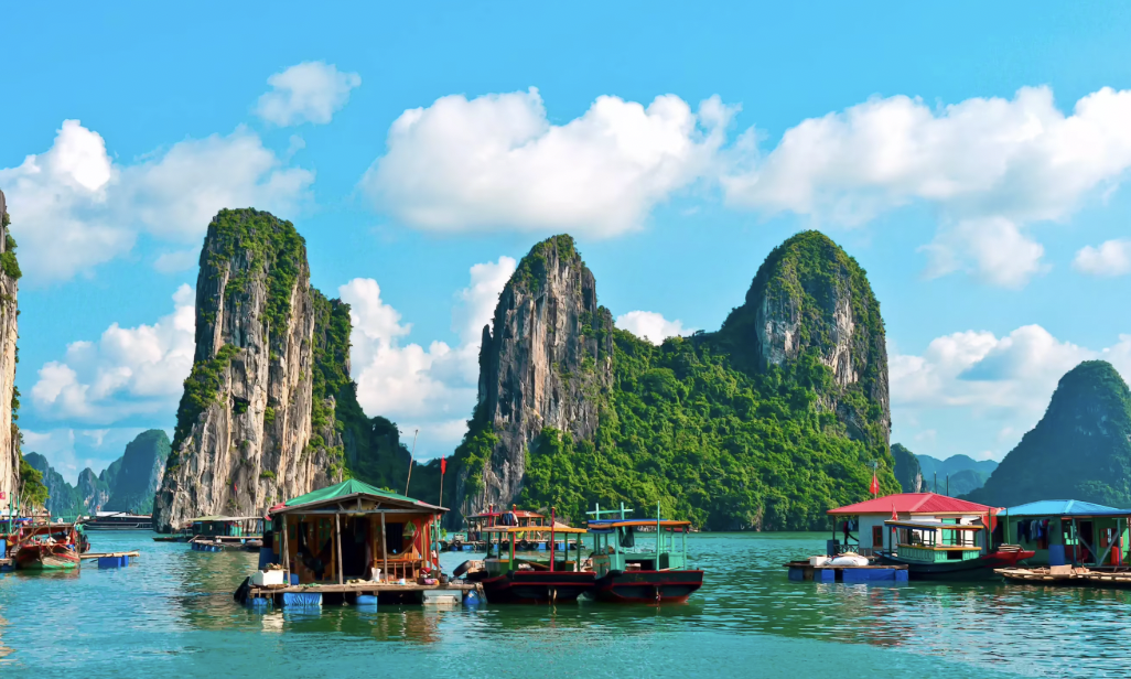 Sunrise meditation and beach yoga during Vietnam retreat