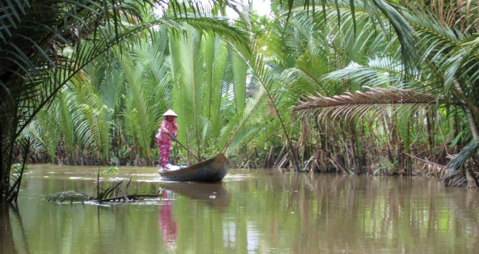 Nature walks and mindfulness experiences during Vietnam yoga retreat